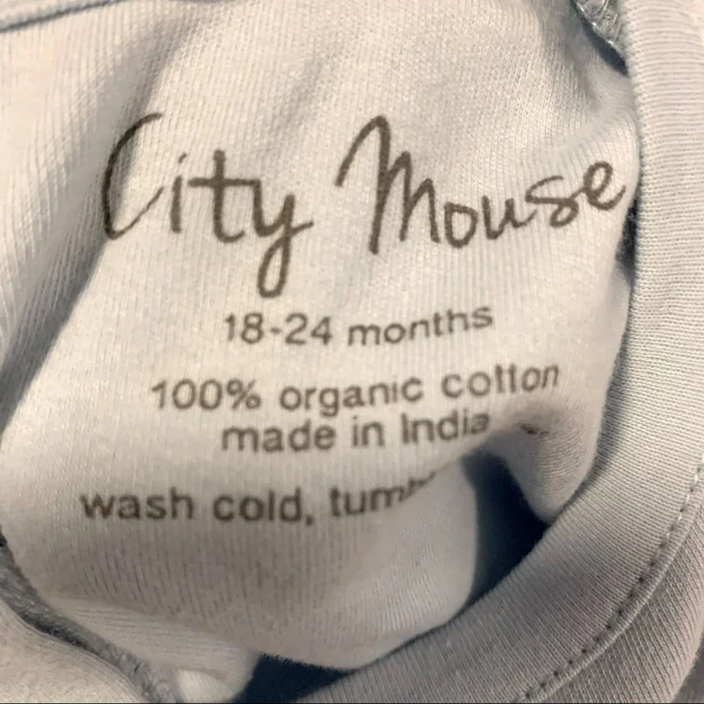 City Mouse Blue Organic Cotton Long Sleeve Dress Size‎ 2 Year New